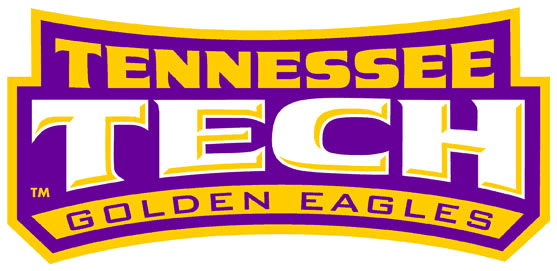 Tennessee Tech Golden Eagles 2006-Pres Wordmark Logo iron on transfers for T-shirts